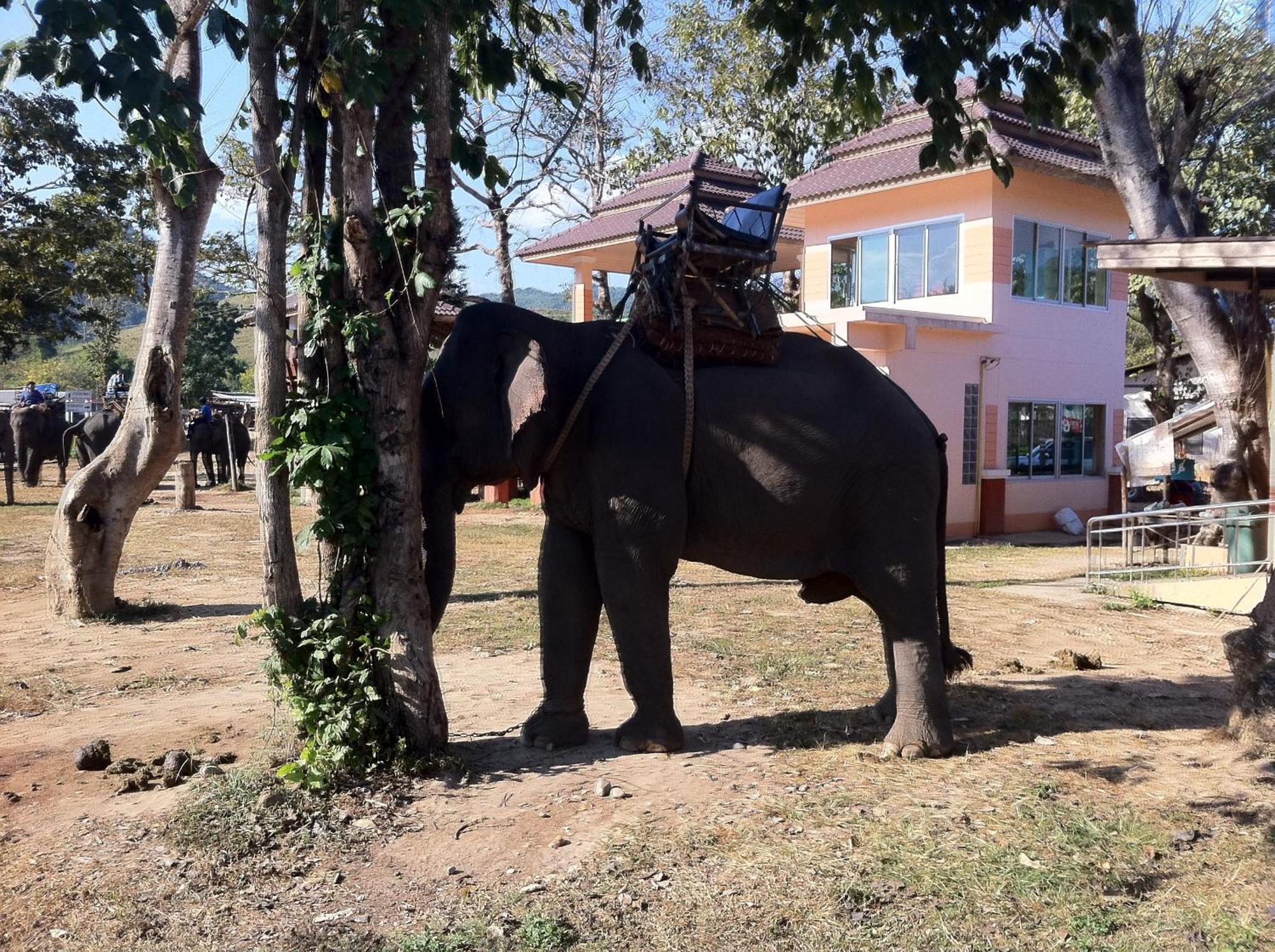 Ban Lom Jen Homestay Chiang Rai Exterior photo