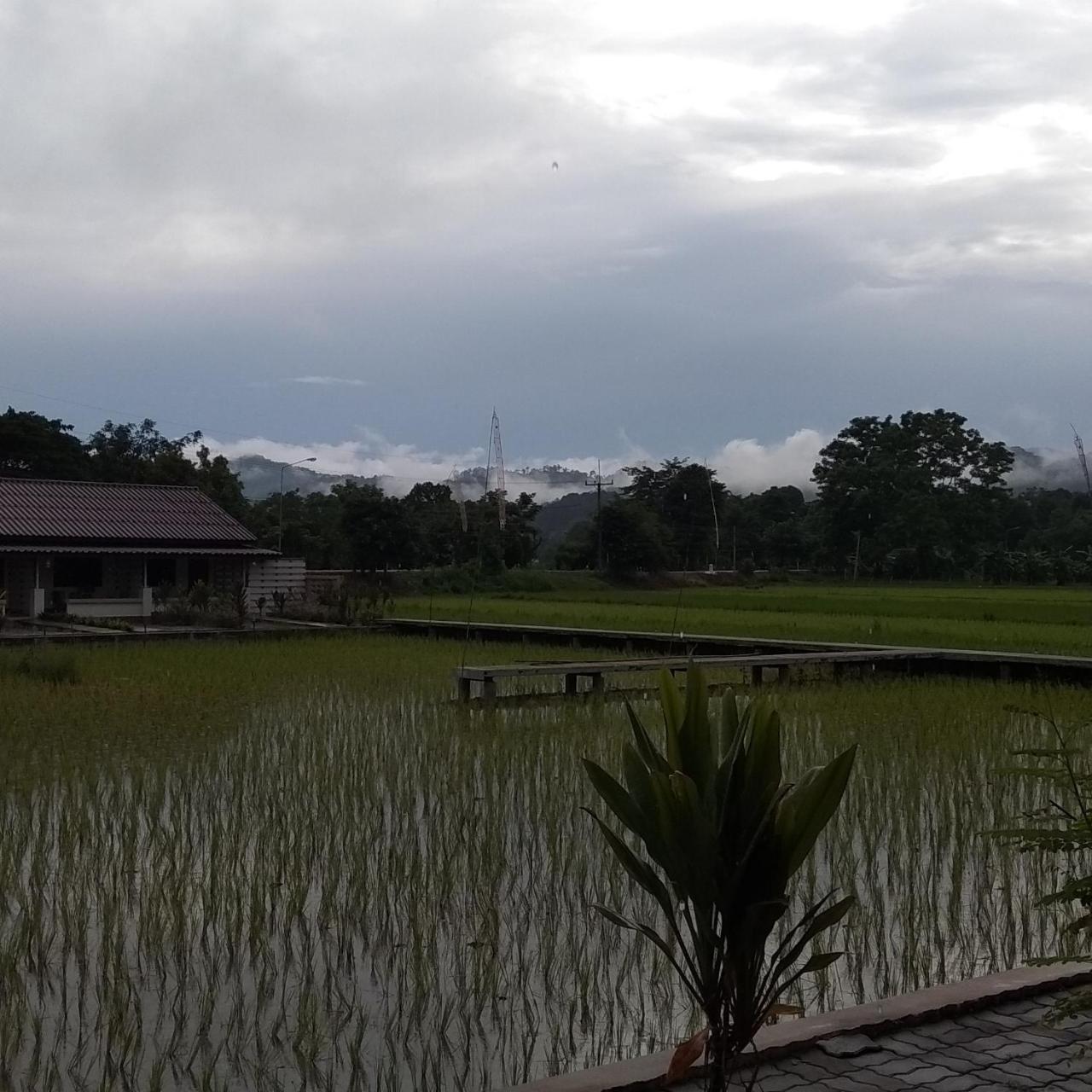 Ban Lom Jen Homestay Chiang Rai Exterior photo